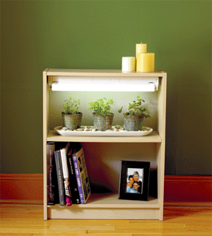 Bookcase grow indoor garden