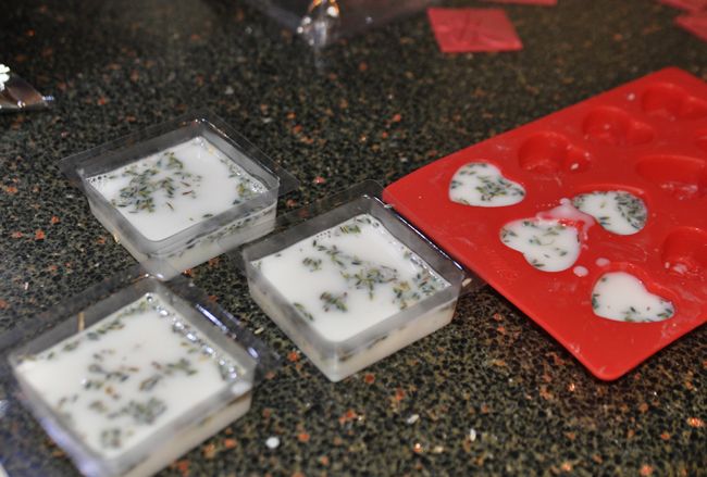 Soap Mold molds-filled