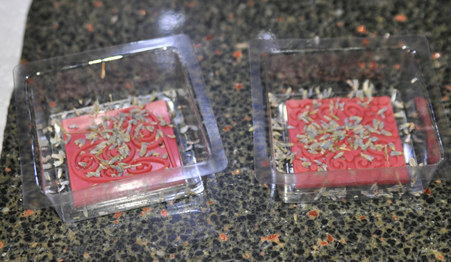 before filling soap molds