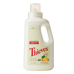 5349-thieves - large