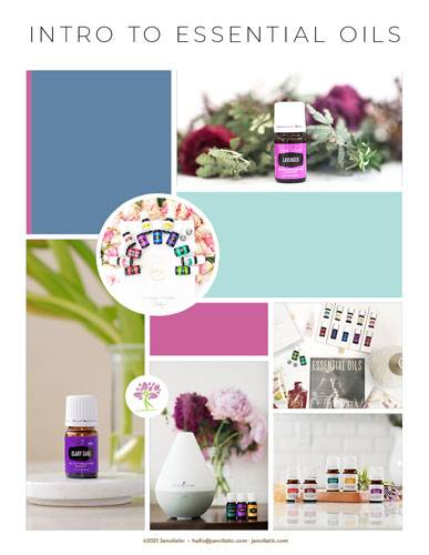 cover-Intro-to-Essential-Oils-ebook.jp500 cover-Intro-to-Essential-Oils-ebook.jp500