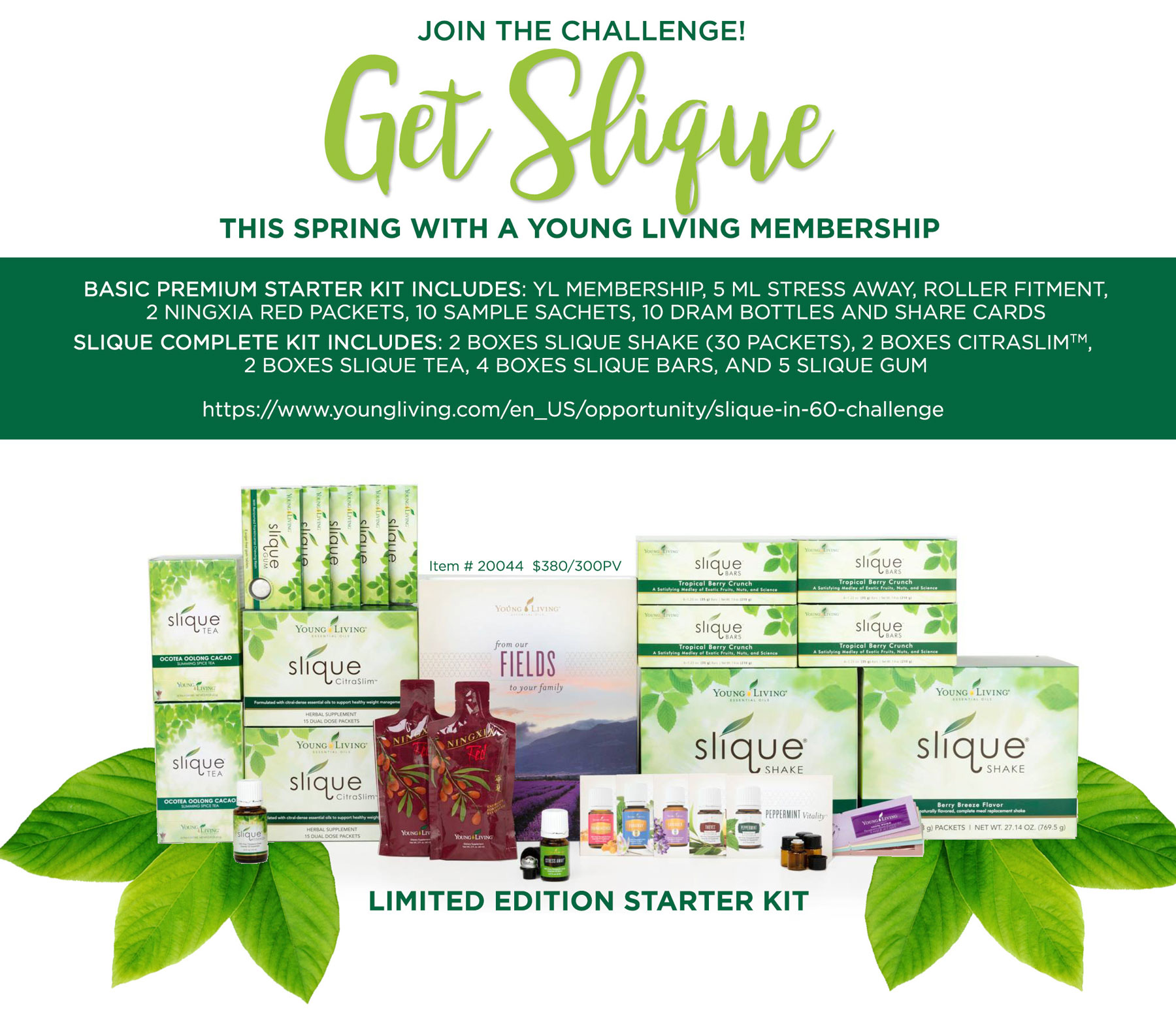 slique-starter-kit