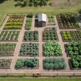 an-aerial-photo-of-a-meticulously-organi_wPeVEz4RS4OvjKFpgS2K4w_h4GhMlDHSvCePho3OfP-HA
