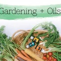 gardening-400