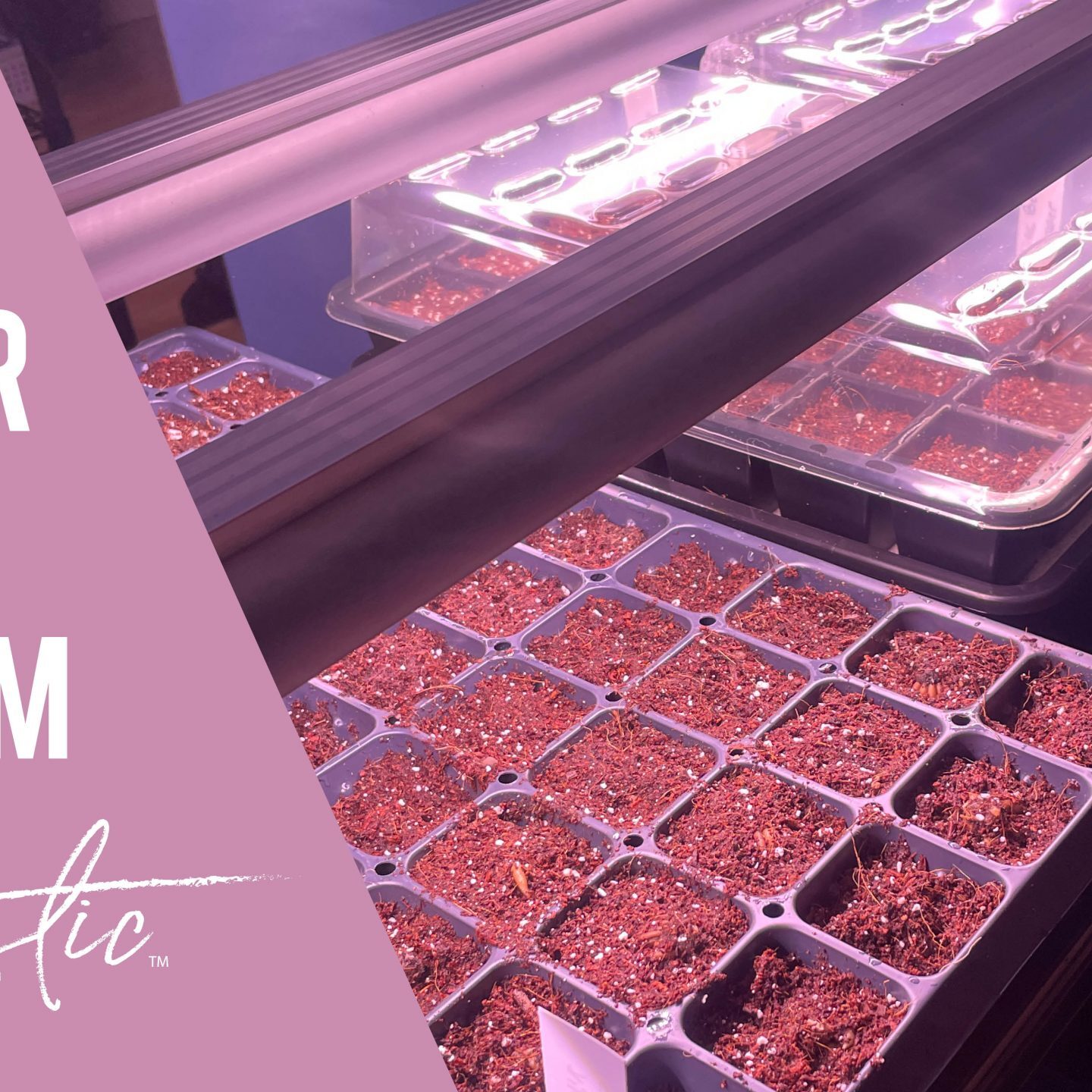 indoor grow system thumbnail-jenolistic 2021
