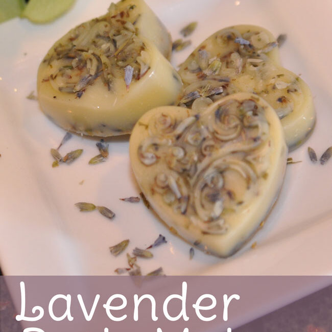 lavendar-bath-melts